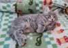 boyrafe8weeks287202216_small.jpg
