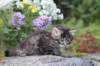 abishalomsibn24boy6vi258202515_small.jpg