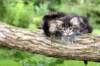 adahandadiva7weekstogether39202543_small.jpg