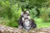 adahandadiva7weekstogether39202554_small.jpg