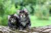 adahandadiva7weekstogether39202564_small.jpg