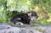 adivagirlsibn22oe3vi68202597_small.jpg