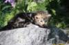 ahuvagirlsibn22ot3vi68202515_small.jpg