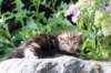 ahuvagirlsibn22ot3vi68202520_small.jpg