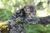 ahuvagirlsibn22ot3vi68202532_small.jpg