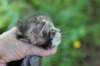 ahuvagirlsibn22ot3vi68202536_small.jpg