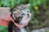 ahuvagirlsibn22ot3vi68202538_small.jpg