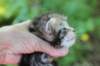 ahuvagirlsibn22ot3vi68202539_small.jpg