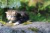 ahuvagirlsibn22ot3vi68202549_small.jpg
