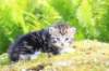 ahuvagirlsibn22ot3vi68202558_small.jpg