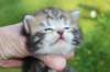 ahuvagirlsibn22ot3vi68202561_small.jpg