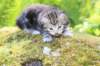 ahuvagirlsibn22ot3vi68202567_small.jpg