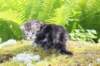 ahuvagirlsibn22ot3vi68202568_small.jpg