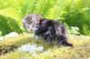 ahuvagirlsibn22ot3vi68202570_small.jpg
