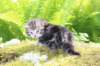 ahuvagirlsibn22ot3vi68202571_small.jpg