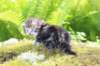 ahuvagirlsibn22ot3vi68202572_small.jpg