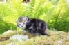 ahuvagirlsibn22ot3vi68202573_small.jpg