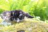 ahuvagirlsibn22ot3vi68202575_small.jpg