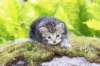 ahuvagirlsibn22ot3vi68202586_small.jpg