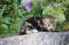 ahuvagirlsibn22ot3vi68202588_small.jpg