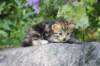 ahuvagirlsibn22ot3vi68202589_small.jpg