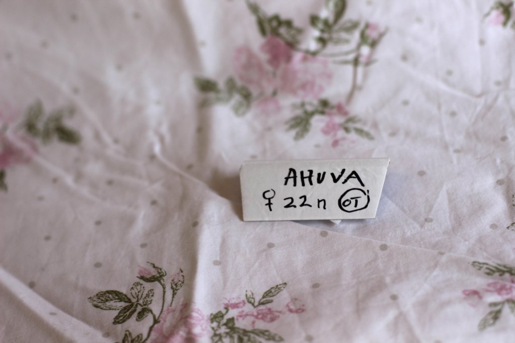 ahuvagirlsibn22ot287251.jpg