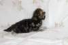 ahuvagirlsibn22ot2872551_small.jpg