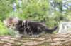 ahuvagirlsibn22ot7weeks39202538_small.jpg