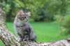 amiragirlsibf247weeks39202546_small.jpg