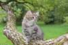 amiragirlsibf247weeks39202557_small.jpg