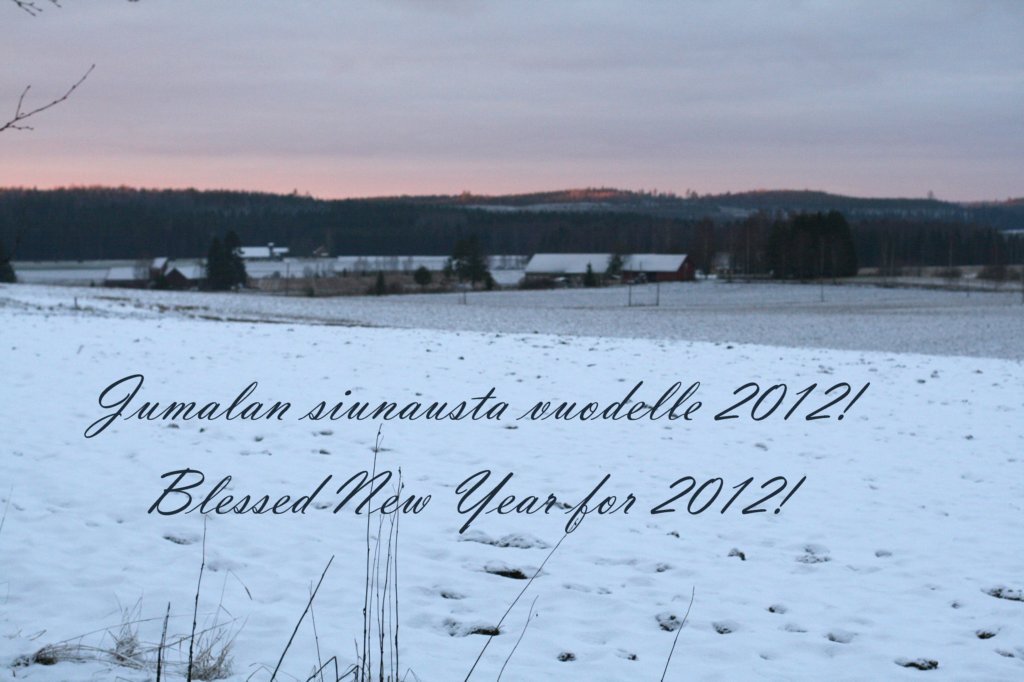 blessednewyearfor2012.jpg