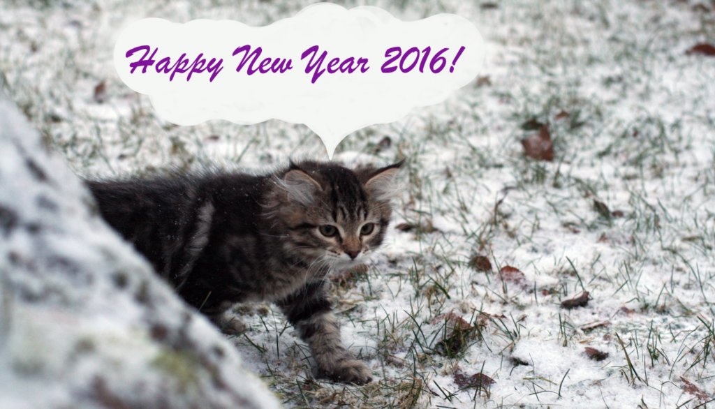 happynewyear.jpg