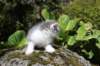 img_9054_small.jpg