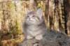 img_9282_small.jpg