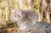 img_9288_small.jpg