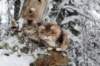 filippusandeunikeimg_1146_small.jpg