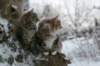 filippusandeunikeimg_1176_small.jpg