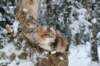 filippusandeunikeimg_1177_small.jpg