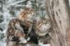 filippusandeunikeimg_1204_small.jpg
