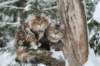 filippusandeunikeimg_1206_small.jpg