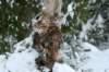 filippusandeunikeimg_1216_small.jpg