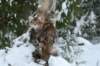 filippusandeunikeimg_1217_small.jpg