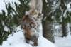 filippusandeunikeimg_1219_small.jpg