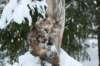 filippusandeunikeimg_1220_small.jpg