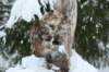 filippusandeunikeimg_1221_small.jpg