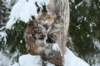filippusandeunikeimg_1222_small.jpg