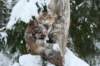 filippusandeunikeimg_1223_small.jpg