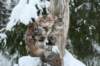 filippusandeunikeimg_1224_small.jpg