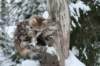 filippusandeunikeimg_1225_small.jpg