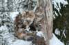 filippusandeunikeimg_1226_small.jpg